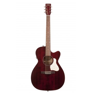 Mizuno guitar store